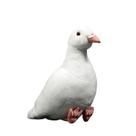 Simulação de brinquedo de pelúcia Cute White Pigeon 19cm