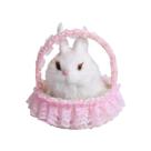 Simulação de coelho de pelúcia animais brinquedo chamará a boneca brinquedo de pelúcia presentes de festa de aniversário para crianças