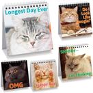 Sinais de mesa Fancy Land Funny Kitten Lovers 30 mensagens