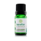 Sinergia do Estudante Terra Flor 10ml Sinergia do Estudante Terra Flor 10ml