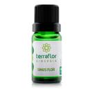 Sinergia Sinus Terra Flor Óleos Essenciais Sinusite 10ml