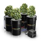 Sistema de cultivo hidropônico MARS HYDRO 5 galões DWC 110V