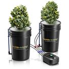 Sistema de cultivo hidropônico Mars Hydro DWC 19L 110V Bomba de ar Sistema de cultivo hidropônico Mars Hydro DWC 19L 110V Bomba de ar