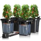 Sistema de cultivo hidropônico Spider Farmer DWC 4x7 galões 120V