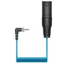 Sistema de microfone sem fio Sennheiser CL 35-XLR para cinema