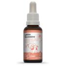 Sistema de Terapia Bio Florais Latido Excessivo Sistema de Terapia Bio Florais Latido Excessivo