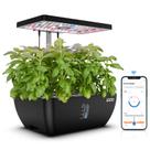 Sistema Hidropônico iDoo 12Pods com WiFi e LED Grow Light