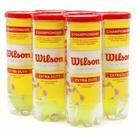 SixPack de Bola de Tênis Wilson Championship (All Court - Embalagem com 6 Tubos)