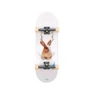 Skate De Dedo Tech Deck Relic Series Spin Master 2890 - Sunny