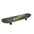 Skate - Hot Wheels - Colorido - Fun