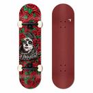 Skate Profissional Traxart - DT-356