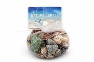 SKRw ENFEITE CONCHAS CONCHAS VARIADAS -