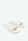 Slide Strass LP