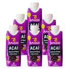 Smoothie de Açaí Tradicional Amazoo 250ml 6 Unidades