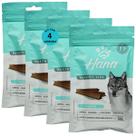 Snack hana healthy life dogzen cães adultos 100g kit com 4