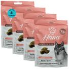 Snack hana healthy life sensitive cães adultos 65g kit com 4