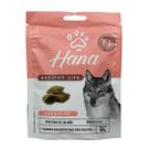 Snack hana healthy life sensitive cães adultos 65g Snack hana healthy life sensitive cães adultos 65g