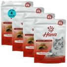 Snack hana healthy life vitaguard cats para gatos adultos 60g kit com 4