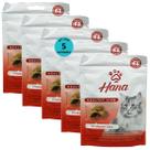 Snack hana healthy life vitaguard cats para gatos adultos 60g kit com 5