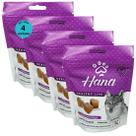 Snack hana healthy life vitaguard dogs para cães adultos 80g kit com 4 Snack hana healthy life vitaguard dogs para cães adultos 80g kit com 4