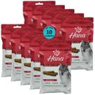 Snack hana healthy life vitajoint cães adultos 100g kit com 10