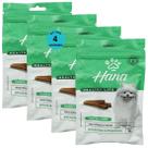 Snack hana life dental care cães adultos raças mini e pequenas 60g kit com 4