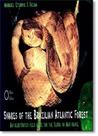 Snakes Of The Brazilian Atlantic Forest - HOLOS
