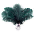 Soarer Ostrich Feathers, 15 unidades, 30-35 cm, verde escuro