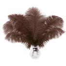 Soarer Ostrich Feathers 15 unidades de 25-30 cm Brown Craft Soarer Ostrich Feathers 15 unidades de 25-30 cm Brown Craft