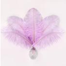Soarer Ostrich Feathers 15 unidades de roxo claro 25-30 cm Soarer Ostrich Feathers 15 unidades de roxo claro 25-30 cm