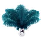 Soarer Ostrich Feathers Bulk 15 unidades de 25-30 cm de azul-petróleo Soarer Ostrich Feathers Bulk 15 unidades de 25-30 cm de azul-petróleo
