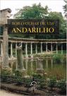 Sob O Olhar de Um Andarilho - Giz