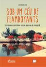 Sob um céu de flamboyants