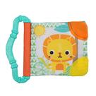 Soft Book Toy Bright Starts Teethe & Read +3 meses