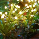 Solar Firefly Lights Brightown 48 LED, pacote com 4, impermeável Solar Firefly Lights Brightown 48 LED, pacote com 4, impermeável