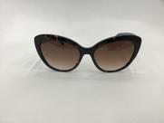 Solar Guess gatinho