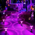 Solar Lights Offital Halloween, pacote com 8, Hot Pink Pathway Solar Lights Offital Halloween, pacote com 8, Hot Pink Pathway