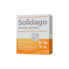 Solidago Injetavel 10 ampolas 2,2 ml Heel Vet Solidago Injetavel 10 ampolas 2,2 ml Heel Vet
