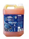 Solupan Ultra Concentrado 1:100 Limpeza Extrema Desengraxante Automotivo Bugatti 5L
