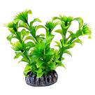 Soma alternanthera verde (planta plastica artificial) 13cm - un Soma alternanthera verde (planta plastica artificial) 13cm - un