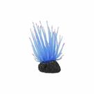 Soma Anemona Long Tentacle Azul
