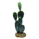 Soma enfeite de resina planta cactus 102 (076510) - un Soma enfeite de resina planta cactus 102 (076510) - un