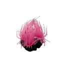 Soma Enfeite De Silicone Anemona Rosa Long Tentacle Multi