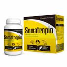 Somatropin Forhealth 60 Cápsulas Força e Energia