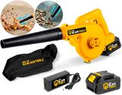 Soprador De Folhas A Bateria 21v Aspirador Elétrico Com Saco Coletor 110v/220v The Black tools