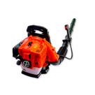 Soprador de Folhas Costal SB2P-520