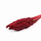 Sorgo Pink Desidratado p/ Decoração