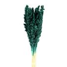Sorgo Verde Desidratado p/ Decoração