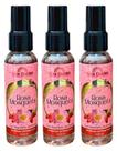 SORO REPARADOR DE PONTAS NUTRIÇAO CAPILAR ROSA MOSQUETA OMEGA 3 60ml MAX GOLDEN kit 3und