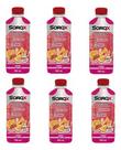Sorox Morango Com Laranja 550ml Bebida Isotonica Pack c/6